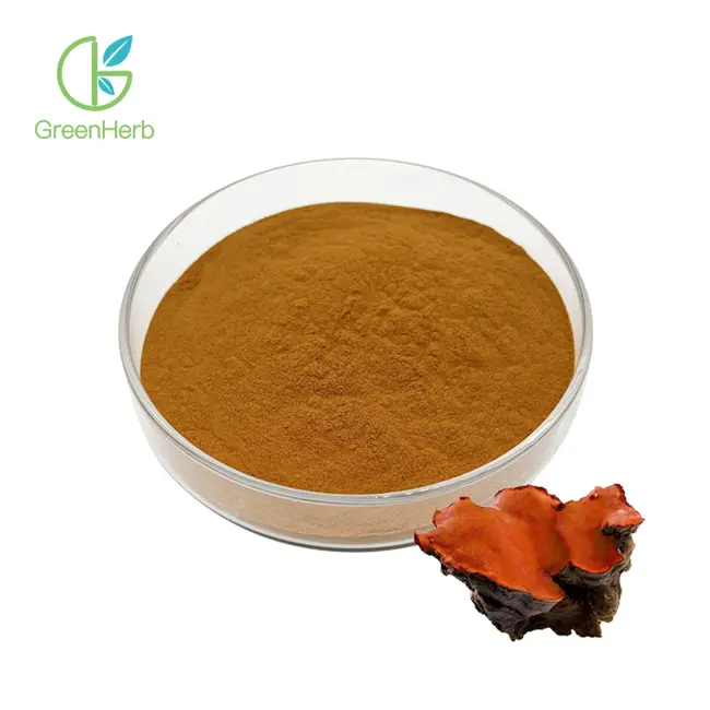 Antrodia Camphorata Extract